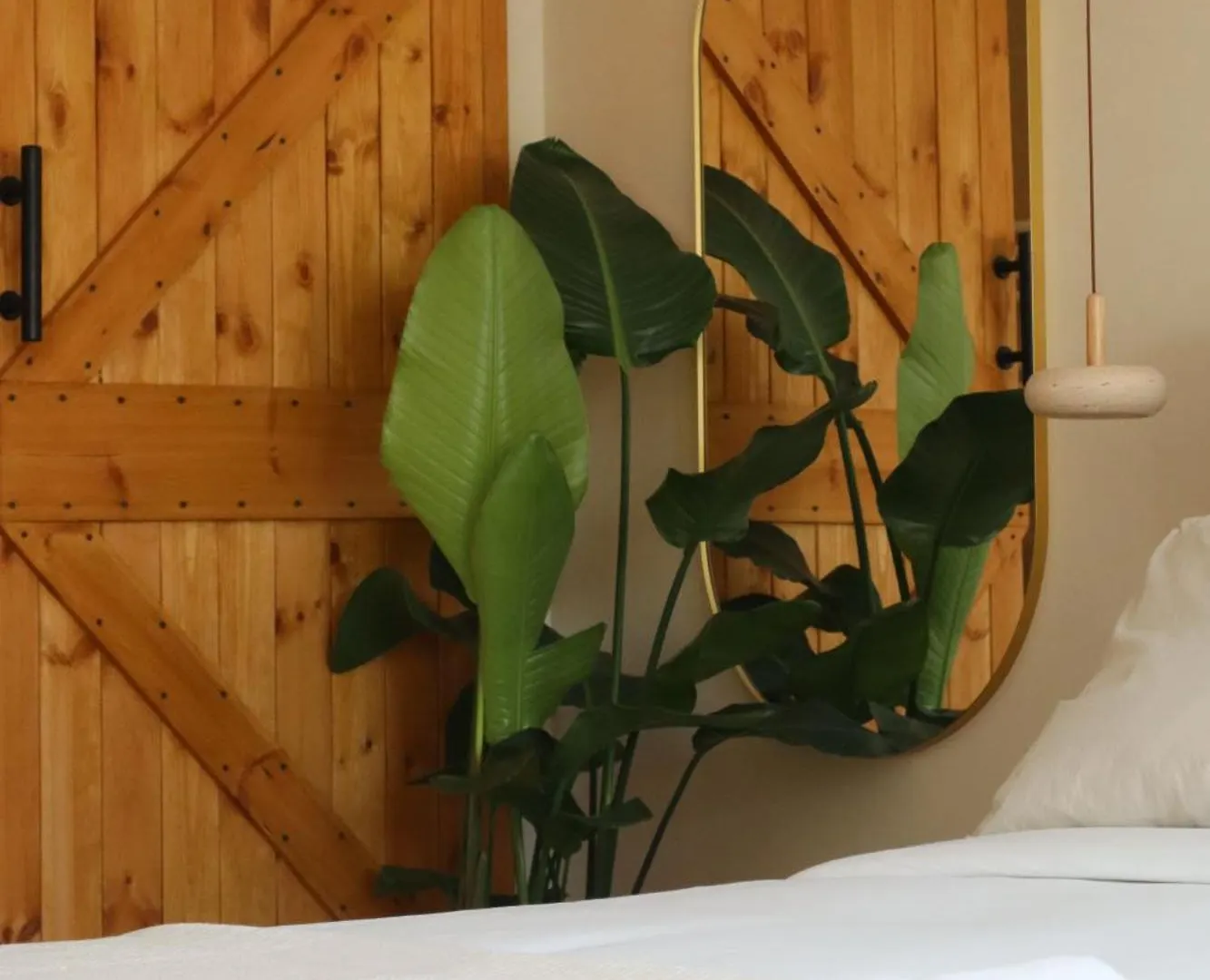 Suite L'Aparte Meyzieu